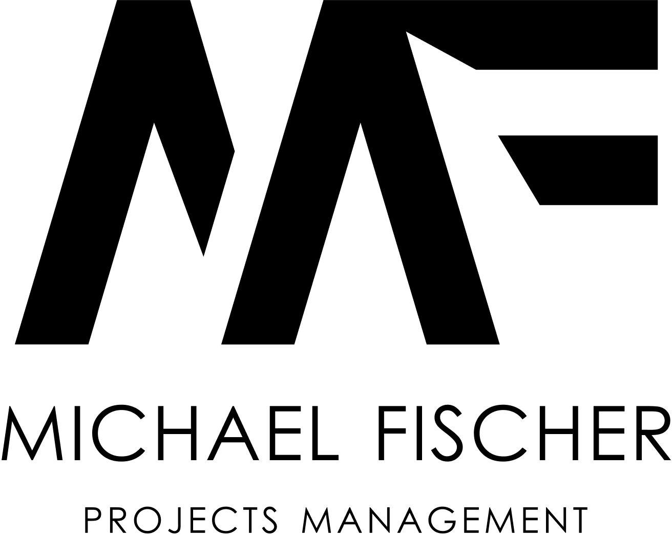 מיכאל פישר חברת ניהול פרויקטים