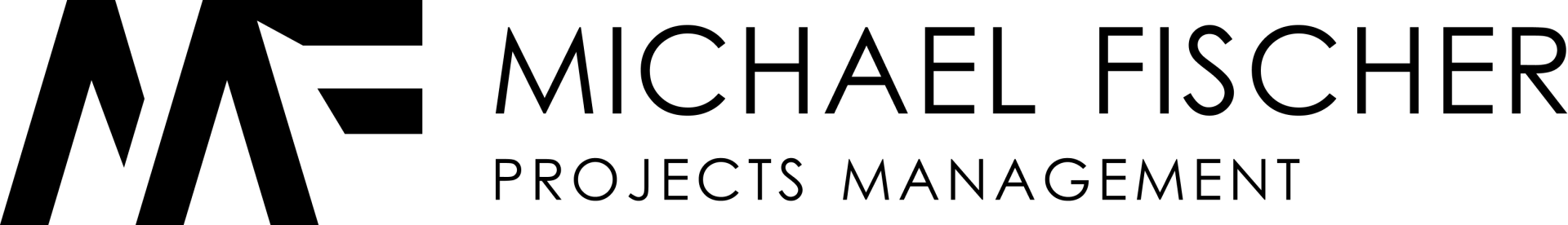 מיכאל פישר חברת ניהול פרויקטים